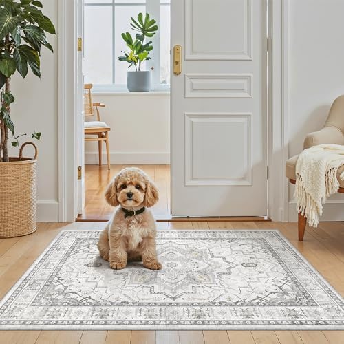 Madane Washable Area Rug 2x3 Small Entryway Rugs Non-Slip, Grey - Image 3