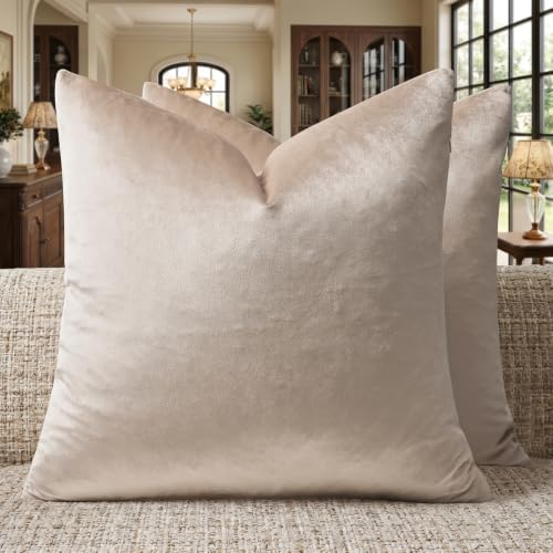 GIGIZAZA Velvet Pillow Covers 16x16 Decorative Pillows Pack of 2 Beige by GIGIZAZAFocusingonhomedecoration