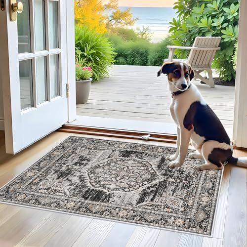 Washable Area Rugs 2x3 Entryway: Soft Ultra Thin Low Pile Mat Machine Washable Indoor Doormat Lightweight Entry Rug Anti Slip Backing Rugs for Living Room Bedroom Kitchen 2'x3' Black by YOUFORTONG