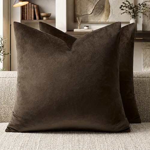 GIGIZAZA Brown Velvet Pillow Covers 22x22 Decorative Pillows Pack of 2 by GIGIZAZAFocusingonhomedecoration