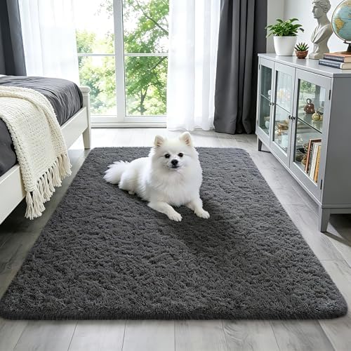 Ophanie Washable 3x5 Area Rug, Bedside Preppy Dorm Rug, College Essentials Non Slip Grey Small Carpets for Bedroom, Anti Slip Fluffy Gray Living Room, Home Decor Aesthetic, Nursery by Ophanie