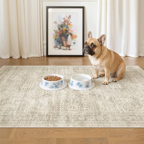 Soalmost 3x4 Rugs Non-Slip, Small Washable Kitchen Entryway Area Rug Beige by Soalmost