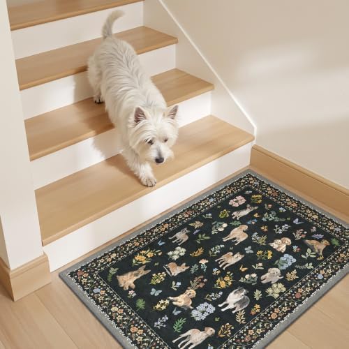 Soalmost 2x3 Dog Rugs for Entryway, Washable Door Mat Animal Soft Rug Black - Image 2
