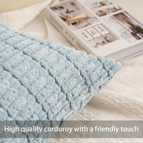 Pack of 2 Corduroy Decorative Throw Pillow Covers 24x24 Inch, Sky Blue - Image 2