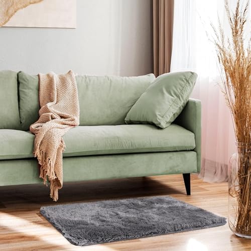 Ophanie Small Rug Upgrade Non Slip Throw Bedside Area Rugs, Fluffy Soft Grey Mini Bedroom Carpet, Affordable Door Entryway Indoor Inside Front Entrance Dog 2x3 Mat, Home Decor Aesthetic, Nursery - Image 3