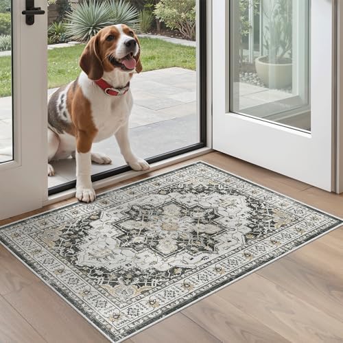 Madane Washable Area Rug 2x3 Small Entryway Rugs Non-Slip, Black by Madane