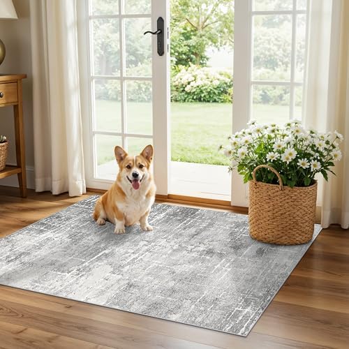 Abstract 2x3 Entryway Area Rugs: Washable Water Resistant Kitchen Rug Non-Slip Durable Doormat Ultra Soft Bedroom Beside Carpet Indoor Low Pile Floor Mat for Bathroom Stove Sink Area(2x3,Light/Grey) by HYHAOYUNLAI