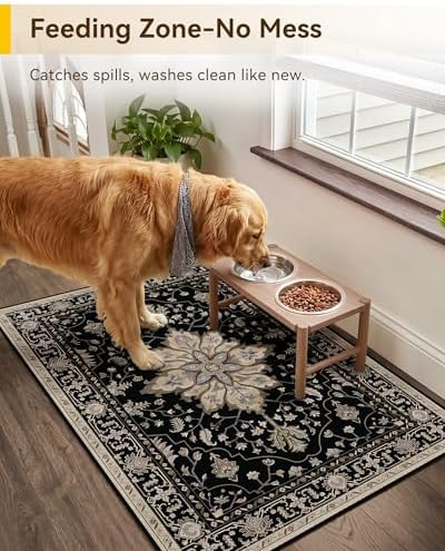 RELEANY Washable Area Rug, Small 2'x3', Black/Neutral - Image 4