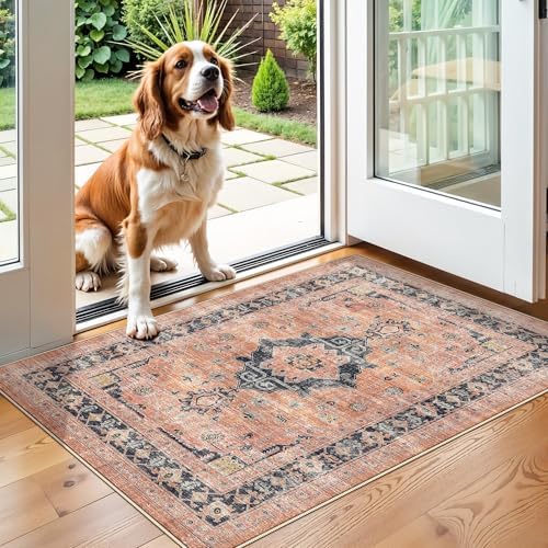 Washable 2x3 Small Area Rug: Vintage Indoor Soft Non Slip Door Mat Stain Resistant Carpet for Bedroom Living Room Light Weight Floor Mat for Kitchen Bathroom - Perfect for Homes with Pets (2x3,Orange) by HYHAOYUNLAI