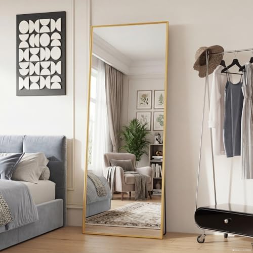 Full Length Floor Mirror 65"x24", Body Standing Mirror by Aidoly