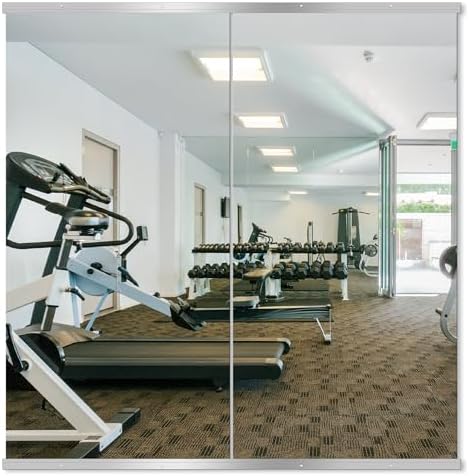 Delma Home Gym Mirror, 50''x25''x2PCS Silver Wall Mounted by Delma