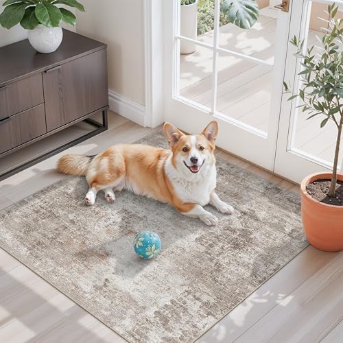 3x3 Square Entryway Rug Washable – Non-Slip Small Area Rug for Kitchen or Bathroom, Soft Low-Pile Indoor Mat, Modern Abstract Thin Door Carpet (Beige Grey) by ZHXXUJ
