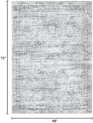 Soalmost 4x6 Area Rug for Living Room, Washable Rugs Non-Slip, Grey - Image 2