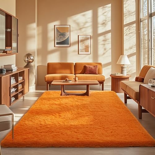 Ophanie Orange Rugs for Living Room Bedroom, 5x8 Fluffy Fuzzy Furry Carpet, Plush Soft Shaggy Bedside Indoor Floor Area Rug for Kids Nursery Home Decor with Over 999 pcs Non-Slip Backing Pattern by Ophanie