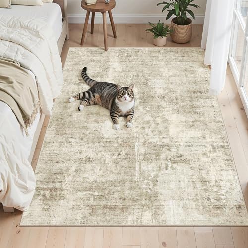 Soalmost Abstract 3x5 Rugs, Small Kitchen Entryway Area Rug Beige/Gray - Image 4