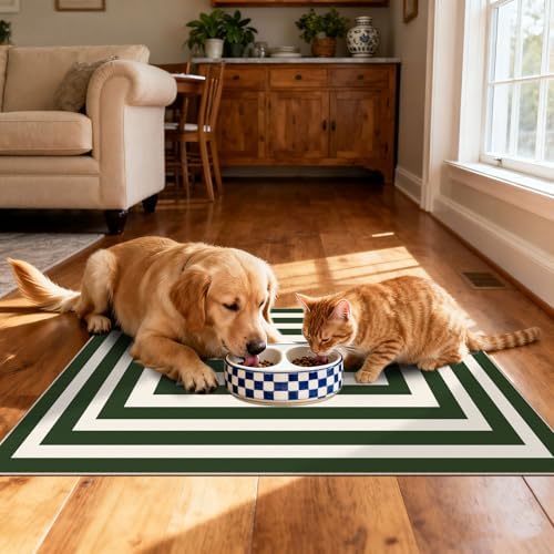 Modern Outdoor Rug - 28"x43" Front Door Mat Indoor Outside Entrance - Image 7