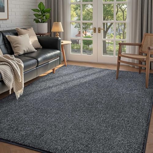 4x6 Grey Area Rug Non-Slip Washable Soft Thin for Bedroom Living Room by FinRe%CC%80cHome