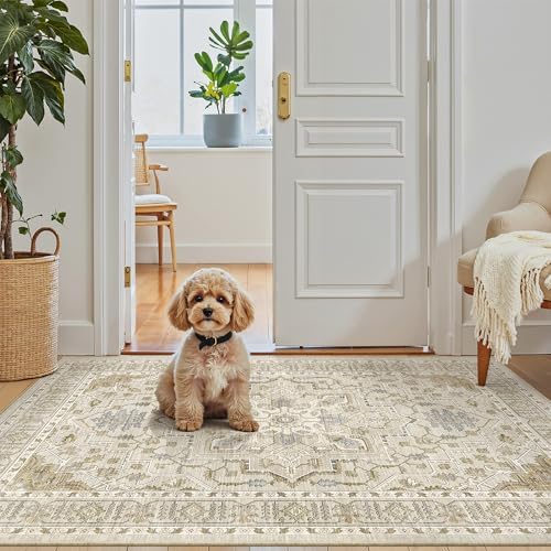 Madane Washable Entry Rug 3x4 Area Rugs for Entryway Kitchen, Beige/Blue - Image 2