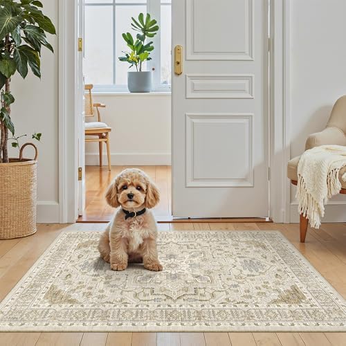 Madane Washable Area Rug 2x3 Small Entryway Rugs Non-Slip, Beige/Blue by Madane