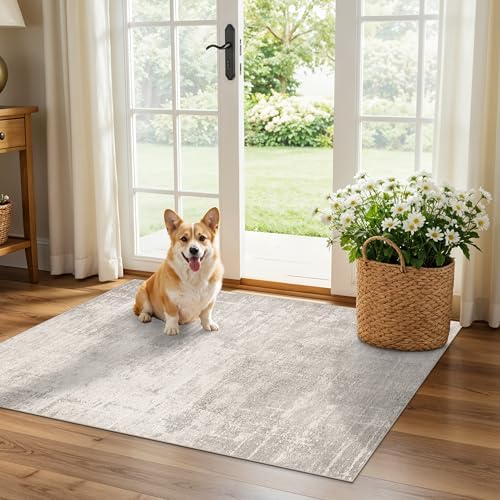 HAOYUNLAI 2x3 Entryway Area Rug: Washable Kitchen Bedroom Carpet Soft Abstract Laundry Bathroom Rugs with Non-Slip Backing Easy-Clean Distressed Home Decor Floor Mat for Pets Family (2x3,Beige/Cream) by HYHAOYUNLAI