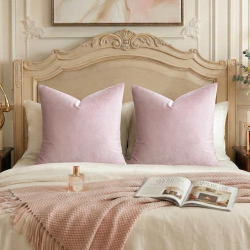 GIGIZAZA Sweet Lilac Velvet Throw Pillow Covers Big 26x26 Pack of 2 by GIGIZAZAFocusingonhomedecoration
