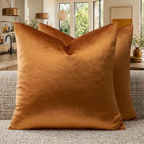 GIGIZAZA Orange Velvet Pillow Covers 24x24 Decorative Pillows Pack of 2 by GIGIZAZAFocusingonhomedecoration