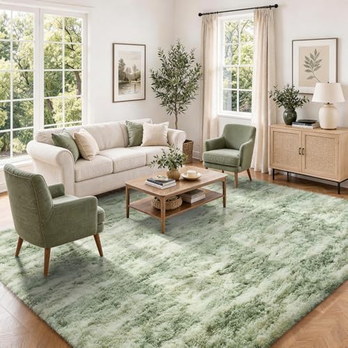 Ophanie Green and White Area Rugs for Living Room 5x7,Sage Green Fluffy Shag Large Fuzzy Plush Soft Carpets,Floor Shaggy Rugs for Bedroom,Carpet for Kids Girls Dorm Decor with Over 99 pcs Pile fibers by Ophanie