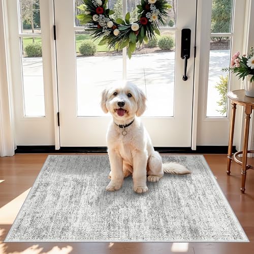 Washable Rug 2x3 for Entryway, Small Non-Slip Kitchen Throw Mat for Sink, Soft Low-Pile Stain & Fade-Resistant Indoor Mat for Pet Area & Bathroom (Grey/Ivory) by BYYVOORugsforYourHome