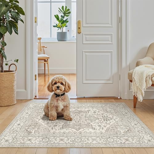Madane Washable Area Rug 2x3 Small Entryway Rugs Non-Slip, Beige/Brown by Madane