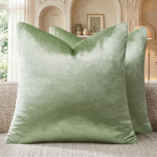 GIGIZAZA Sage Green Velvet Throw Pillow Covers 18x18 Pack of 2 by GIGIZAZAFocusingonhomedecoration