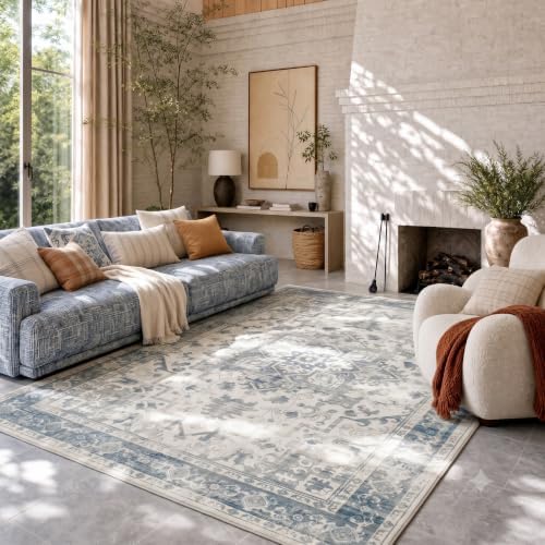 Rugxara 6x9 Washable Area Rug for Living Room,Light Blue Grey by Rugxara