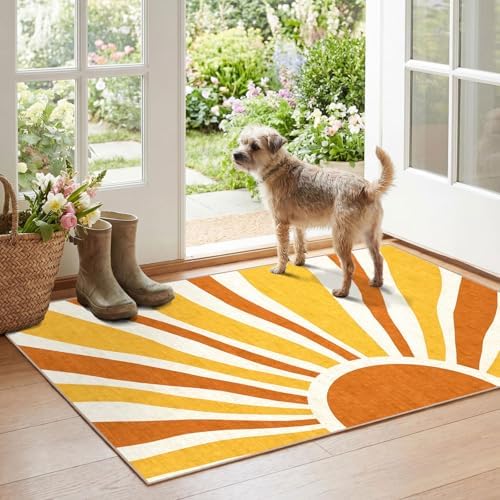 Boho Outdoor Rug - 28" x 43" Front Door Mat Indoor Outside Entrance - Image 4
