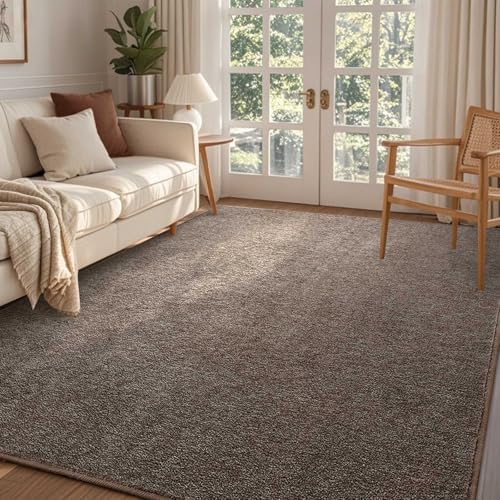 4x6 Brown/White Area Rug Non-Slip Washable Soft for Bedroom Living Room by FinRe%CC%80cHome