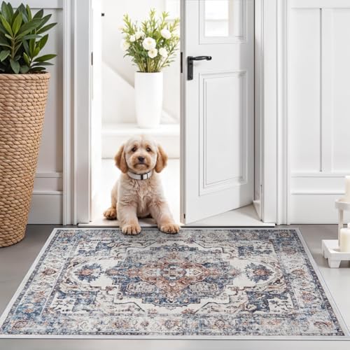 Hallway Washable Runner Rug - 2x3 Kitchen Rugs Entryway Rug Runner Vintage Soft Floor Mat Non Slip Indoor Farmhouse Carpet for Bathroom Living Room Bedroom (2 X 3, Brick) by HYHAOYUNLAI