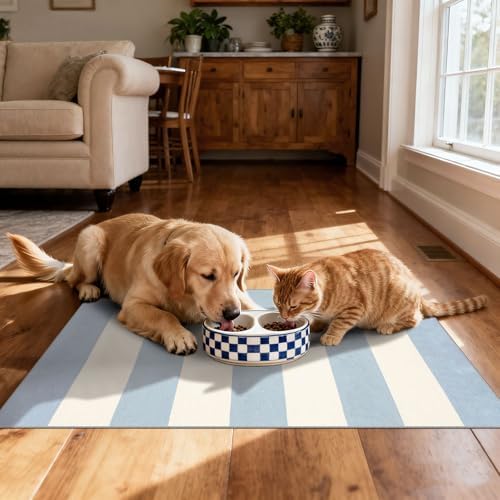 Front Door Mat Indoor Outside Entrance, 2x3 Blue White Striped Rug - Image 5