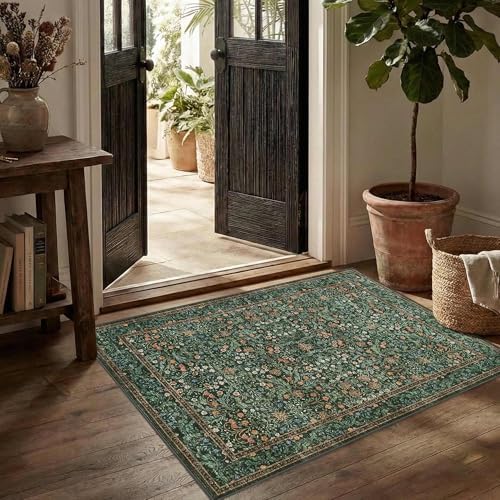 Rugxara 2x3 Entryway Rug Door Mat, Washable Samll Rug, Non Slip, Green by Rugxara