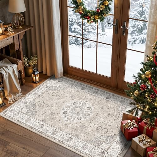 Washable Hallway 3x4 Floor Mats: Farmhouse Non-Slip Kitchen Sink Area Rug Water-Resistant Small Carpet for Living Room Bathroom Thin Soft Doormat Easy-Clean Decorative Rug for Pets Family(3x4,Beige) by HYHAOYUNLAI