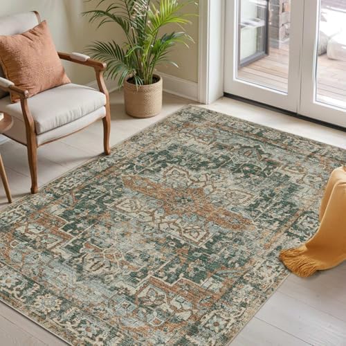 Rugxara 3x5 Rug for Entryway Bedroom Washable Area Rugs Carpet, Green by Rugxara