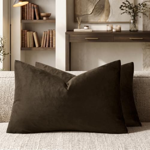 GIGIZAZA Brown Velvet Pillow Covers 12x20 Decorative Pillows Pack of 2 by GIGIZAZAFocusingonhomedecoration