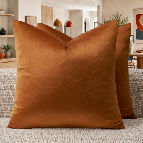 GIGIZAZA Burnt Orange Velvet Throw Pillow Covers 24x24 Pack of 2 by GIGIZAZAFocusingonhomedecoration