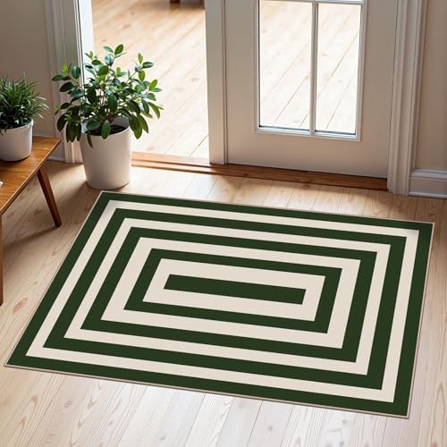 Front Door Mat Indoor Outside Entrance, 2x3 Green White Modern Rug by Othilic