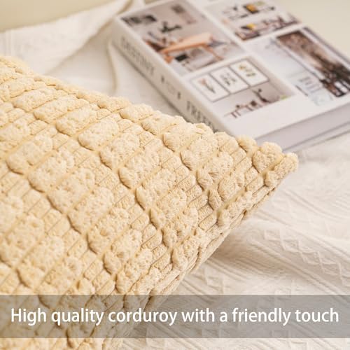 Aegero Pack of 2 Corduroy Decorative Throw Pillow Covers 12x24 Inch, Beige - Image 2