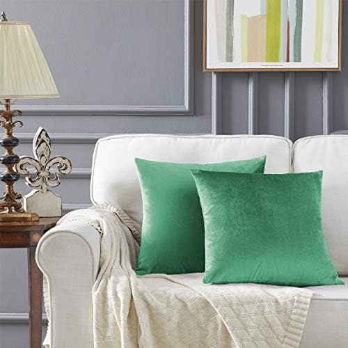GIGIZAZA Decor Throw Couch Pillow Covers,Set of 2 Sofa Cushion Mint Turquoise Pillow Covers,Velvet Pillow Cases 24 x 24inch - Image 5