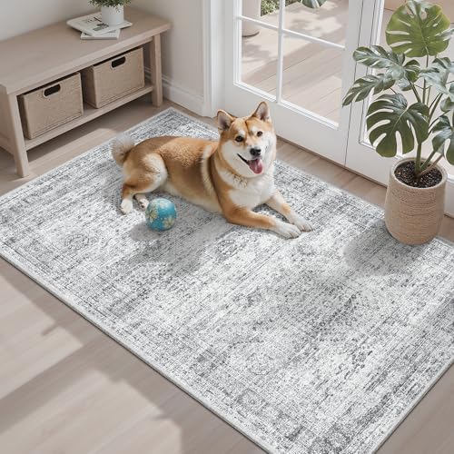 Soalmost 3x4 Rugs Non-Slip, Small Washable Kitchen Entryway Area Rug Grey by Soalmost