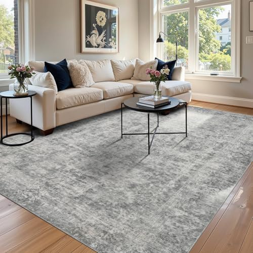 Rugxara Grey 6x9 Area Rugs Washable Rug for Living Room Dining Room Bedroom by Rugxara