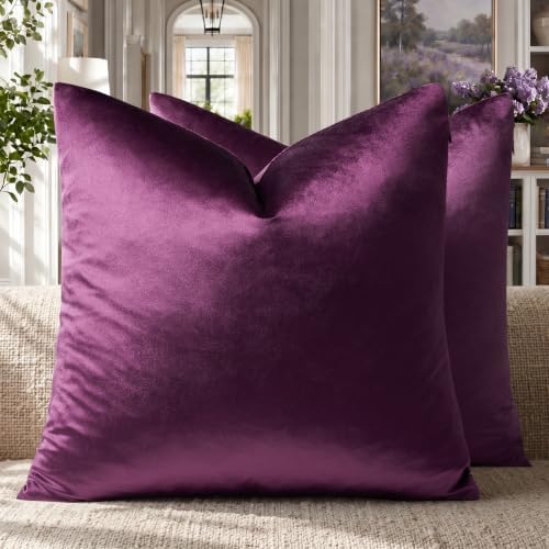 GIGIZAZA Velvet Pillow Covers 20x20 Decorative Pillows Pack of 2 Purple by GIGIZAZAFocusingonhomedecoration