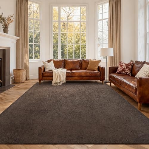 6x9 Large Pure Brown Area Rug Non-Slip Washable for Living Room Bedroom by FinRe%CC%80cHome