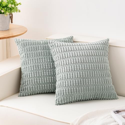 Aegero Pack of 2 Corduroy Decorative Throw Pillow Covers 18x18 Inch, Aqua by Unknown