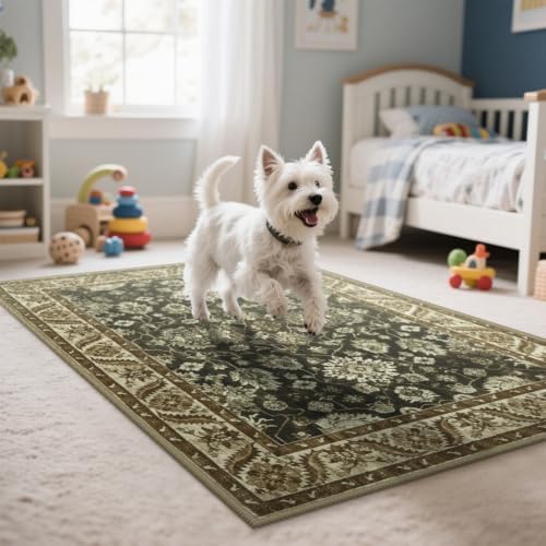 Hanples 4x6 Area Rugs for Living Room, Washable Rug Vintage Floral, Brown - Image 5