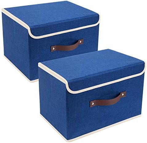TYEERS Collapsible Storage Boxes, Washable Fabric Storage Bins with Lids, 14.9x9.8x9.8 inches, 2 Pack, Classic Blue by StorageOrganization